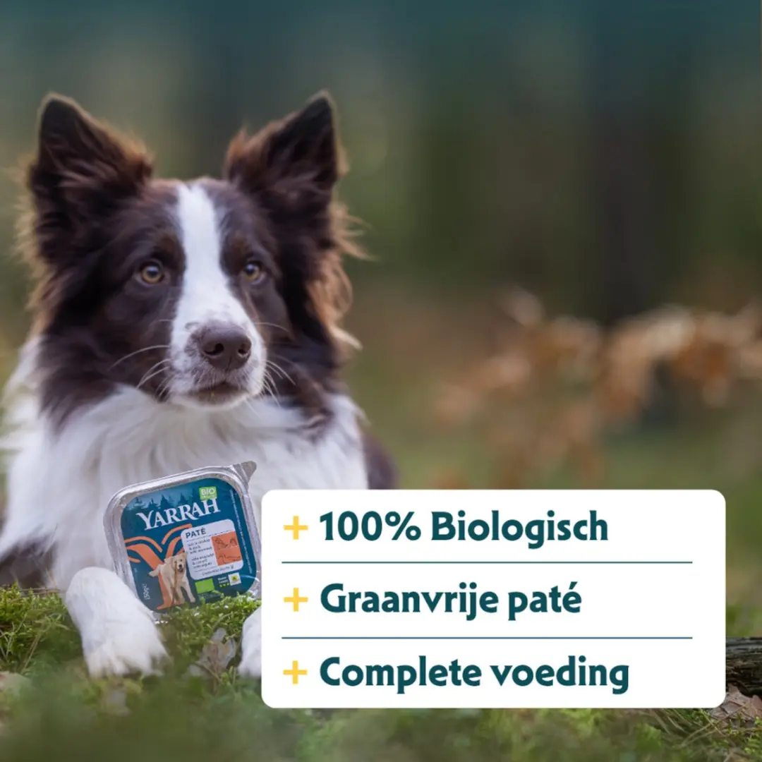 Yarrah Bio Alu Paté Grainfree Hondenvoer Kip & Eend 150g - 12x - afbeelding 3 van 6