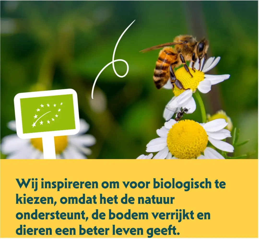 Yarrah Bio Hondenvoer Paté Kip Kalkoen Rund - 6x150g - afbeelding 3 van 6