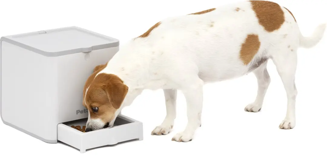 PetSafe Teach & Treat Beloningstrainer - Afstandsbediening - PDT19-17711 - afbeelding 6 van 6