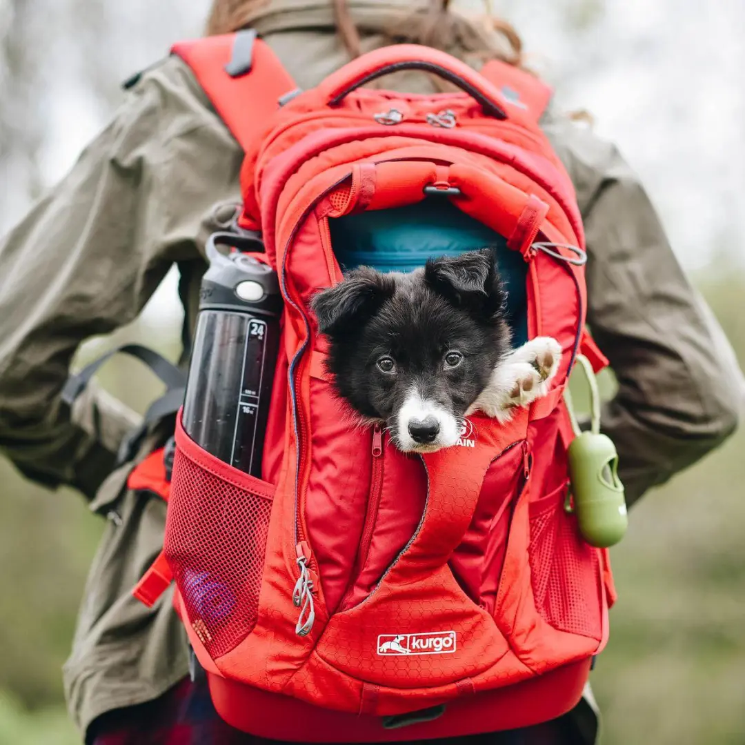 Kurgo G-Train K9 Hondenrugzak - Chili Red - afbeelding 5 van 6