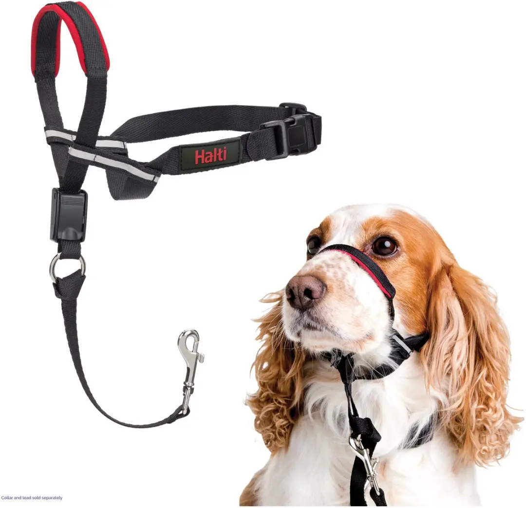 Halti Optifit Hoofdband voor Honden - Maat M - afbeelding 3 van 6
