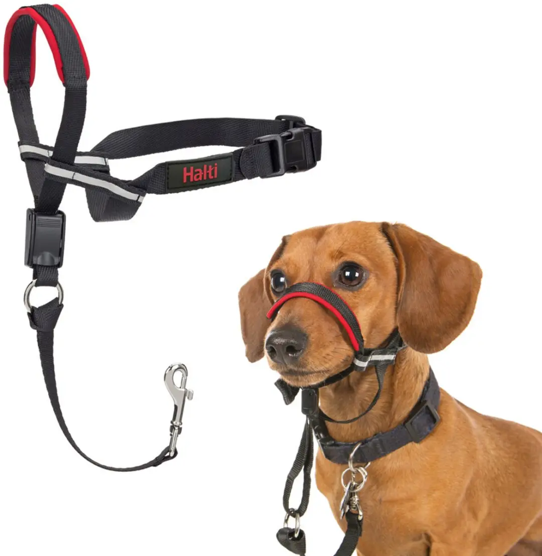 Halti Optifit Hoofdband voor Honden - Maat M - afbeelding 4 van 6