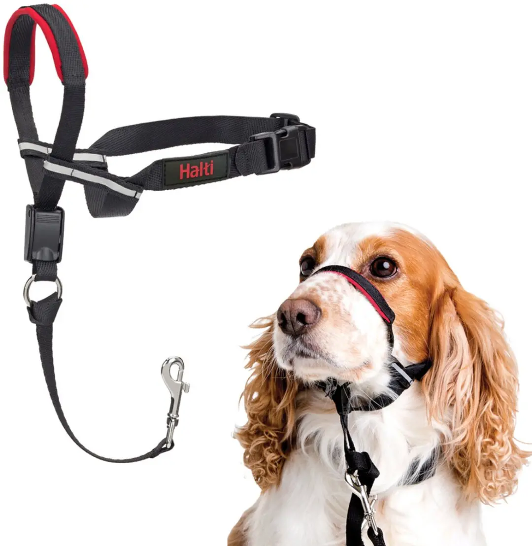 Halti Optifit Hoofdband voor Honden - Maat M - afbeelding 6 van 6