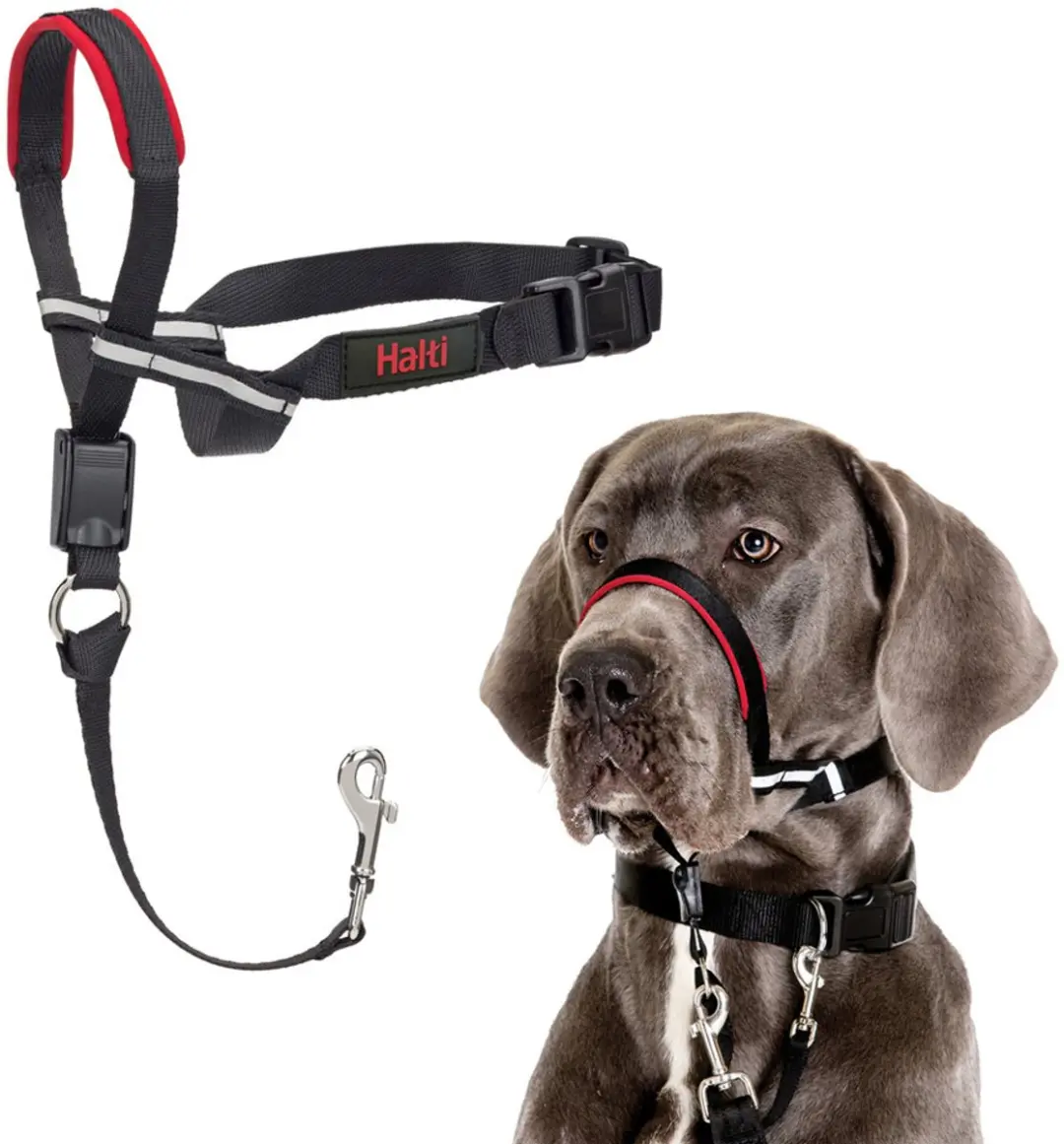 Halti Optifit Hoofdband voor Honden - Maat M - afbeelding 5 van 6