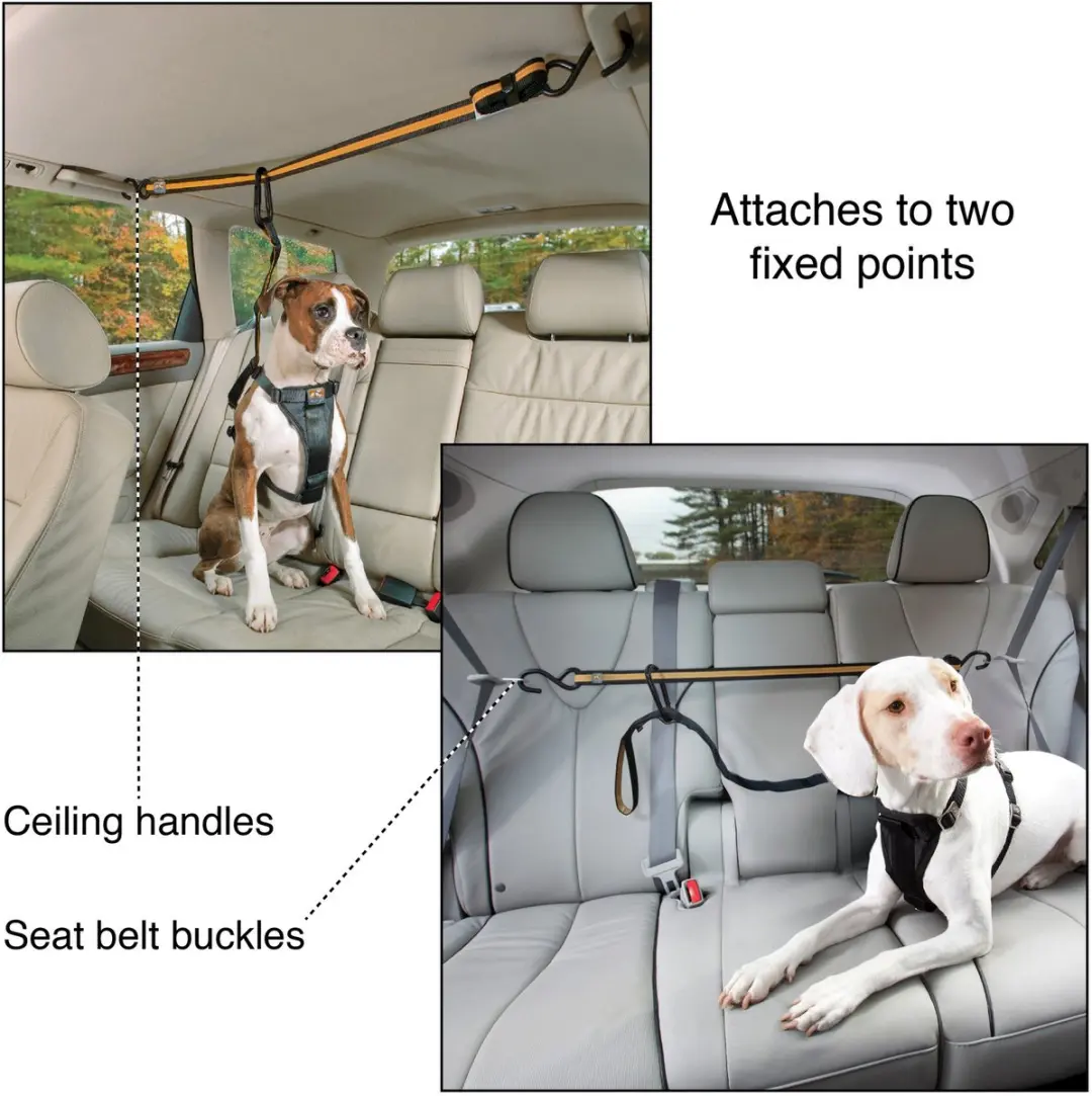 Kurgo Auto Zip Line & Leash voor honden - Zwart - afbeelding 2 van 6