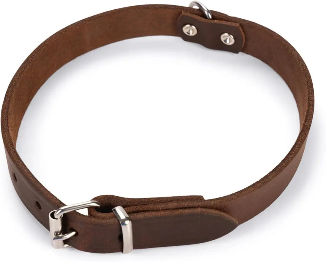 Lederen Honden Halsband