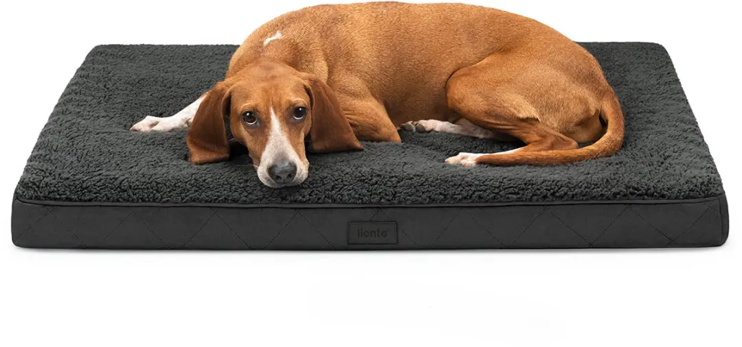 lionto orthopedisch hondenbed, afneembare wasbare hoes 91x69x8 cm zwart