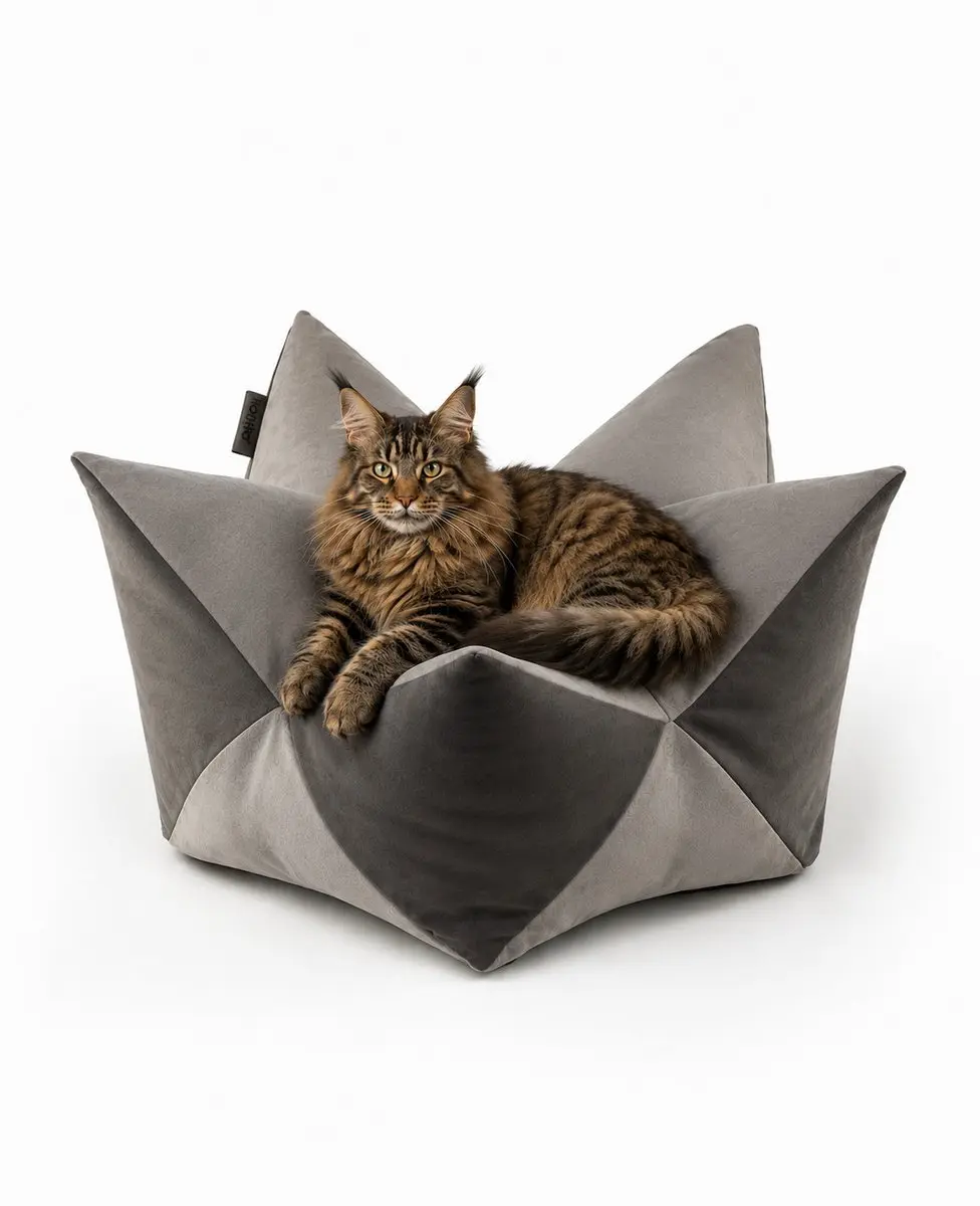 lionto Sterrenkussen kat, zacht kattenbed 85x45 cm lichtgrijs/donkergrijs