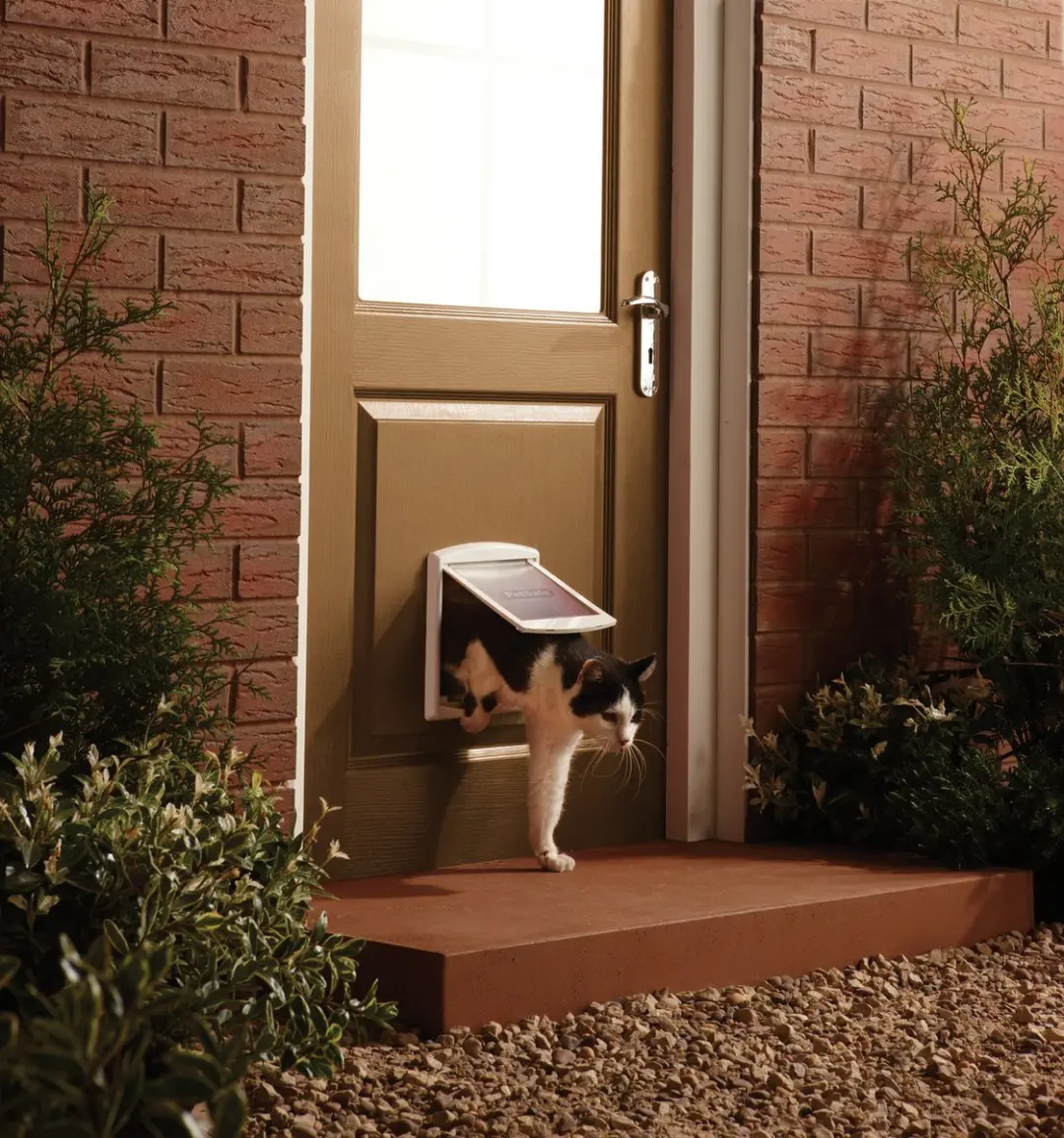 Petsafe 740 Hondenluik - Wit/Transparant - Medium - 35 x 26,5 cm - afbeelding 6 van 6