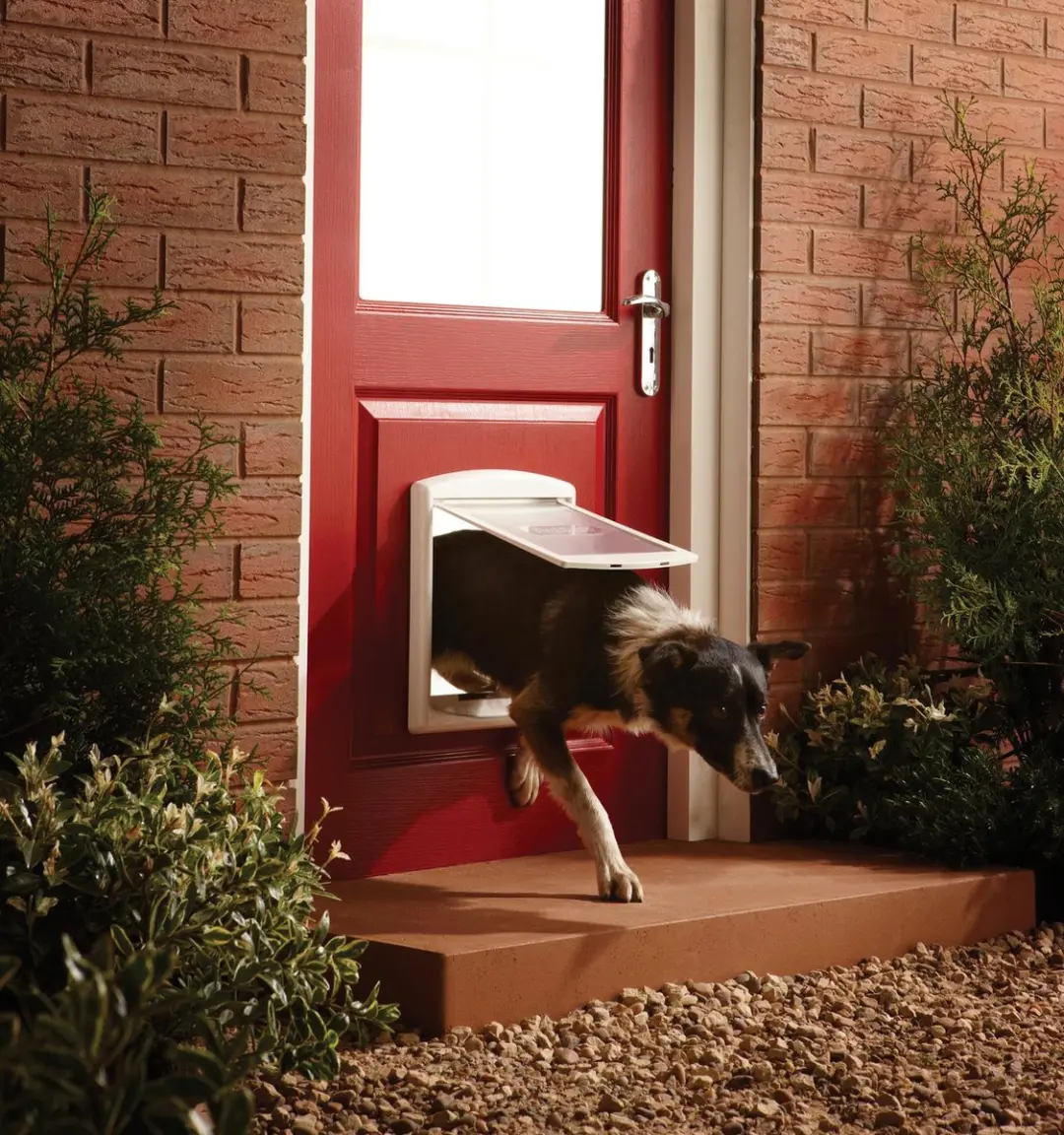 Petsafe 740 Hondenluik - Wit/Transparant - Medium - 35 x 26,5 cm - afbeelding 5 van 6