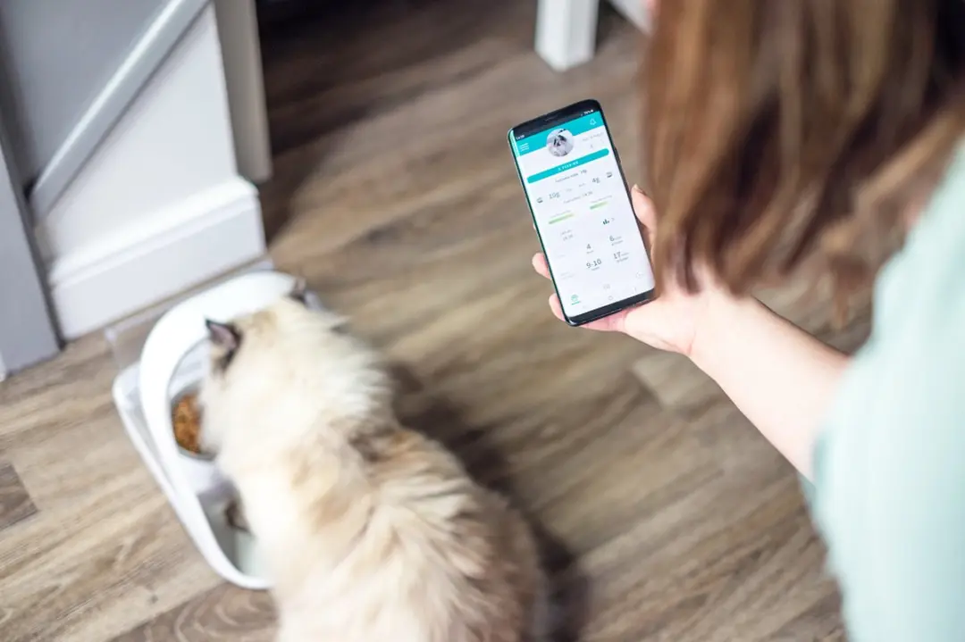 SureFeed Connect Kattenvoerbak - 40cl - Wit - afbeelding 5 van 6
