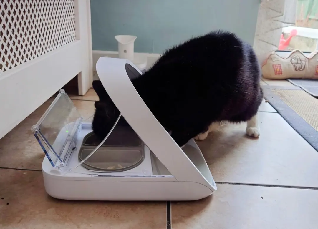 SureFeed Connect Kattenvoerbak - 40cl - Wit - afbeelding 6 van 6