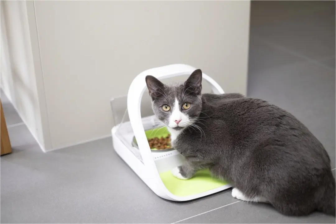 SureFeed Connect Kattenvoerbak - 40cl - Wit - afbeelding 2 van 6