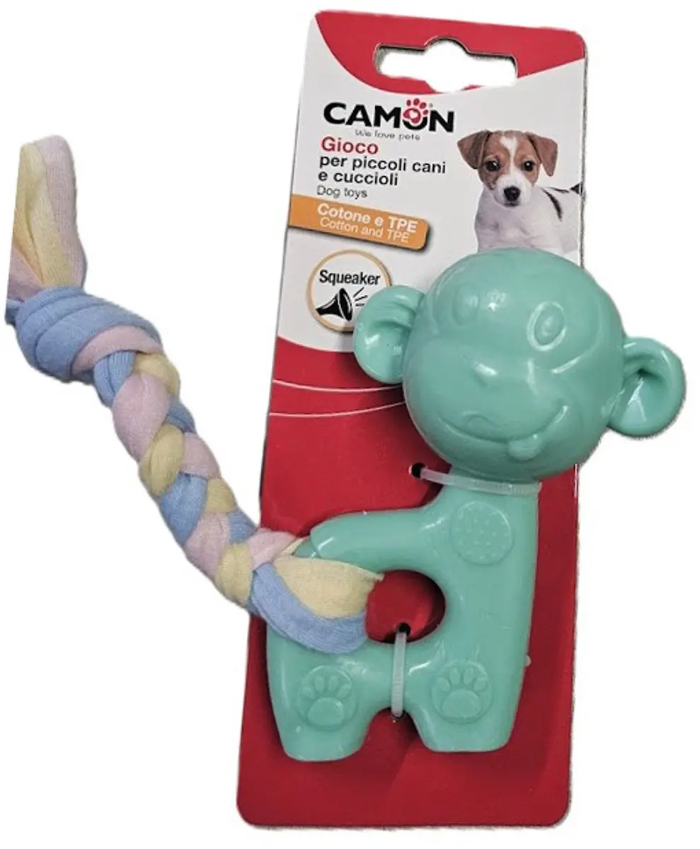 Camon