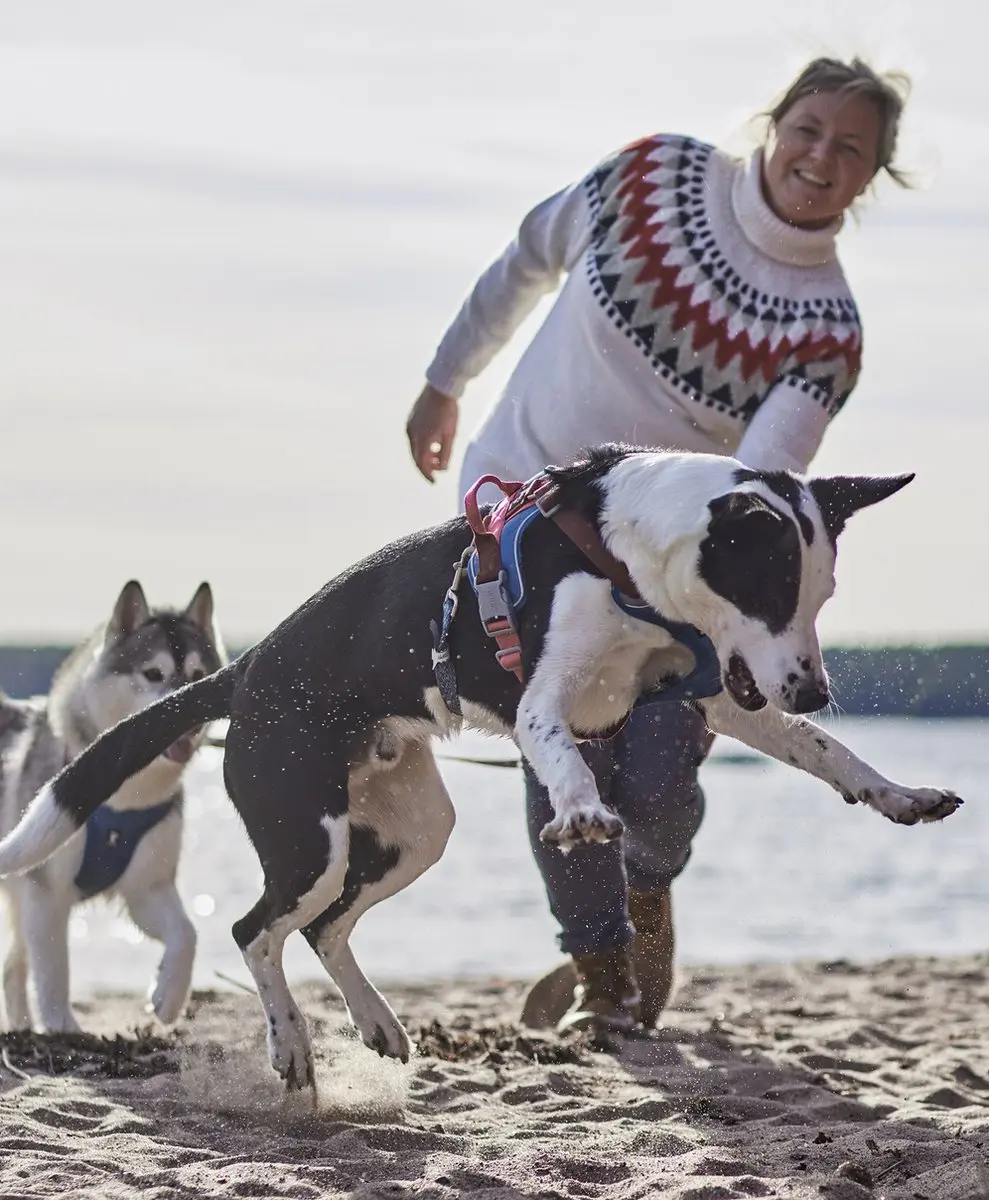 Hurtta Weekend Warrior Harness Warmer Hondenharnas - afbeelding 6 van 6