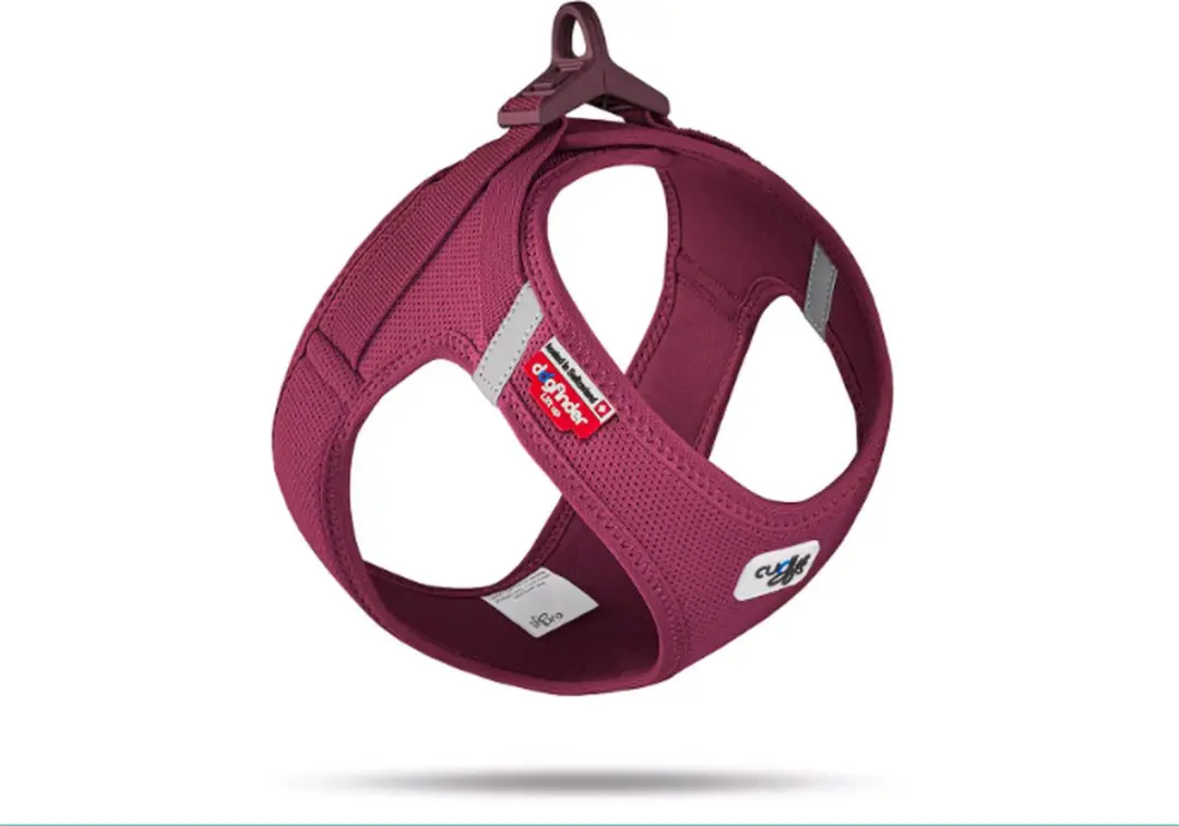 Curli Vest Harnas Clasp Air-Mesh