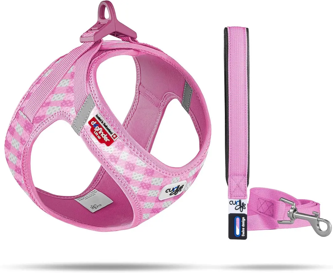Curli Vest Harness Air-Mesh & Leash Puppy Set