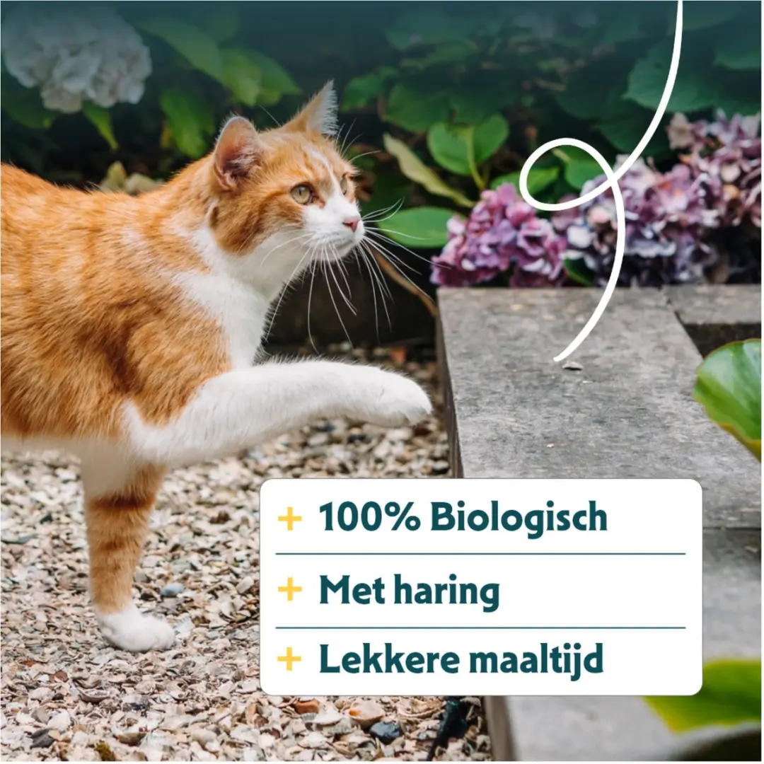 Yarrah Bio Adult Vis Kattenvoer Droog - 10kg - afbeelding 4 van 6