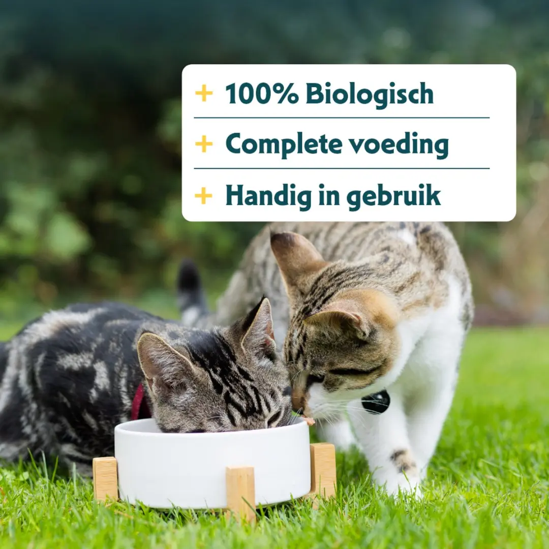 Yarrah Bio Kattenvoer Kip in Saus 85g - afbeelding 2 van 6