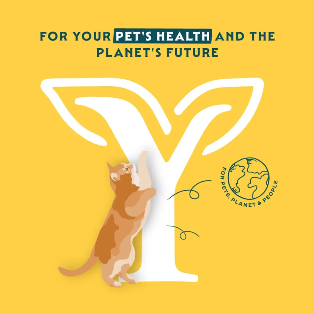 Yarrah Bio Kattenvoer Paté Vis - 12x 400g - afbeelding 3 van 6