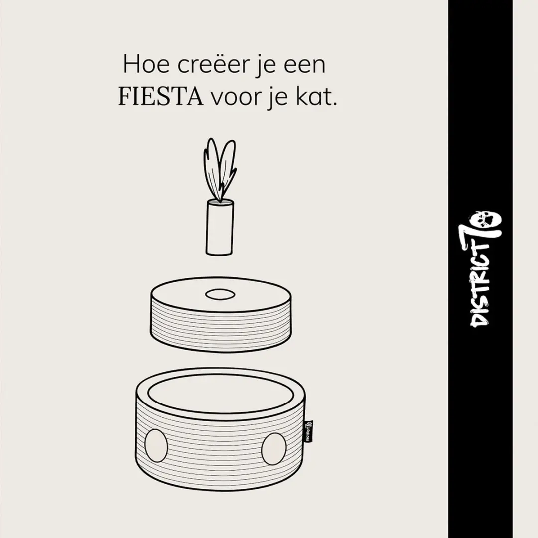 District 70 Fiesta Krabbord - Zwart - afbeelding 3 van 6