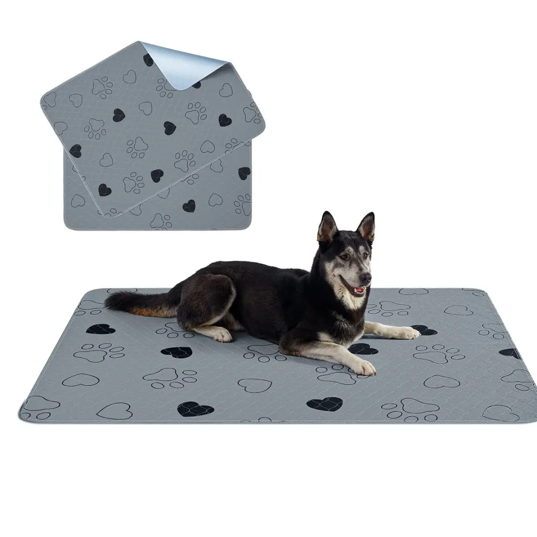 Feandrea Trainingsmat Puppy XXL