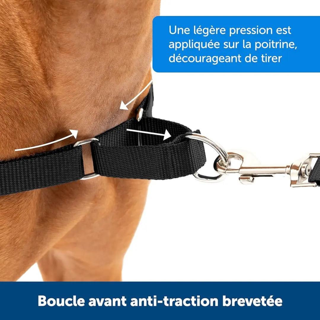 PetSafe Easy Walk Hondentuig - Small - Zwart - afbeelding 5 van 6