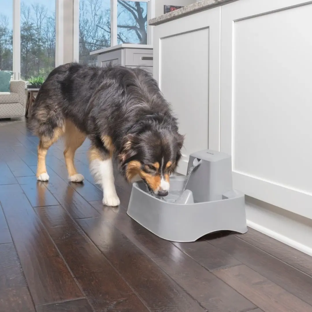 PetSafe Drinkwell Huisdierenfontein - 7,5 liter - afbeelding 2 van 6