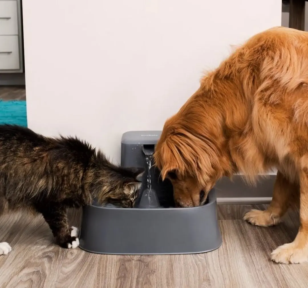 PetSafe Drinkwell Huisdierenfontein - 7,5 liter - afbeelding 4 van 6