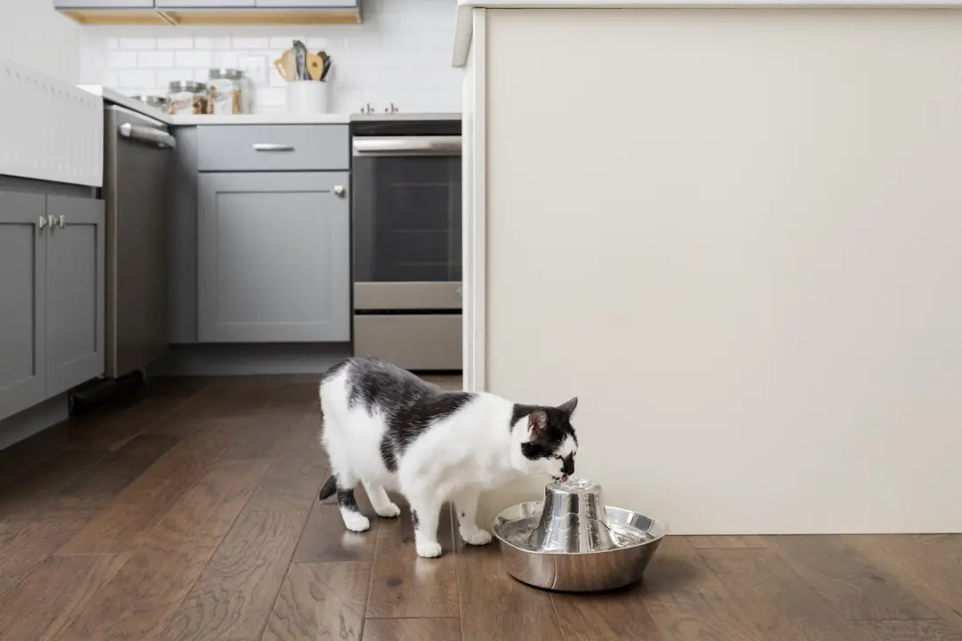 PetSafe Seaside RVS Drinkfontein - 1,8 Liter - afbeelding 5 van 6
