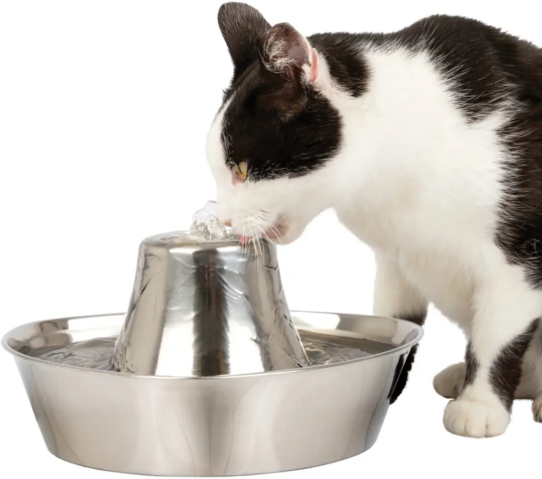 PetSafe Seaside RVS Drinkfontein - 1,8 Liter - afbeelding 2 van 6