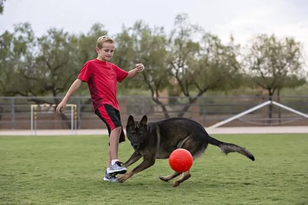 Jolly Pets Jolly Soccer Ball - Ø15cm - Rood - afbeelding 2 van 5