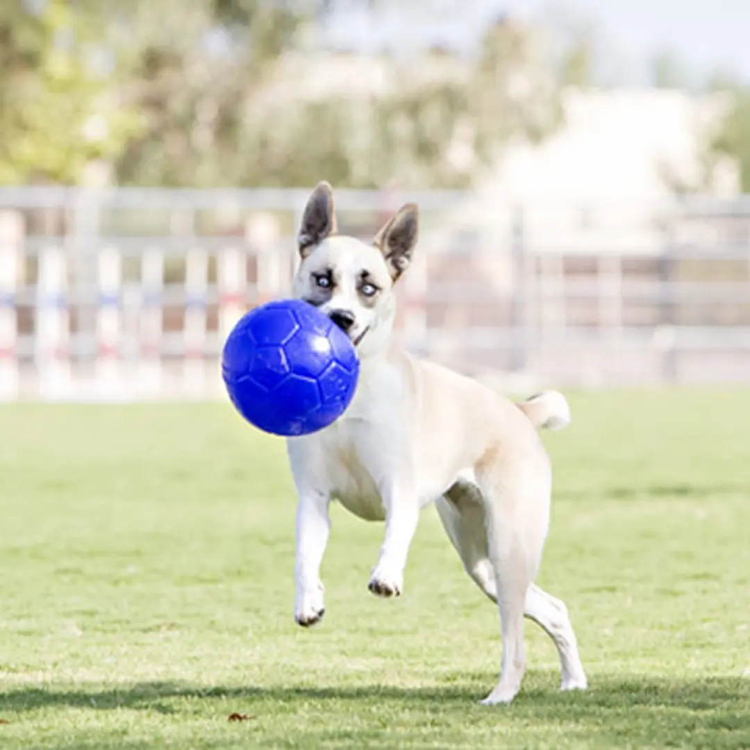 Jolly Pets Jolly Soccer Ball Hondenbal - Ø20cm - Oranje - afbeelding 5 van 6