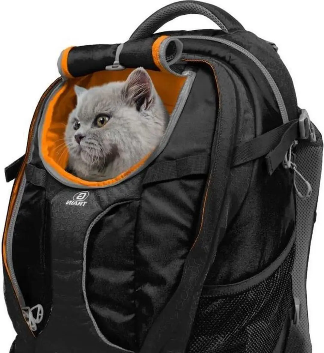 Kurgo G-Train K-9 Hondenrugzak - Zwart - afbeelding 6 van 6