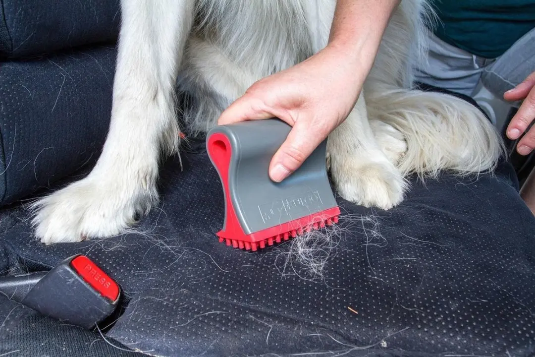 Kurgo Shed Sweeper Hondenvachtborstel - afbeelding 3 van 6