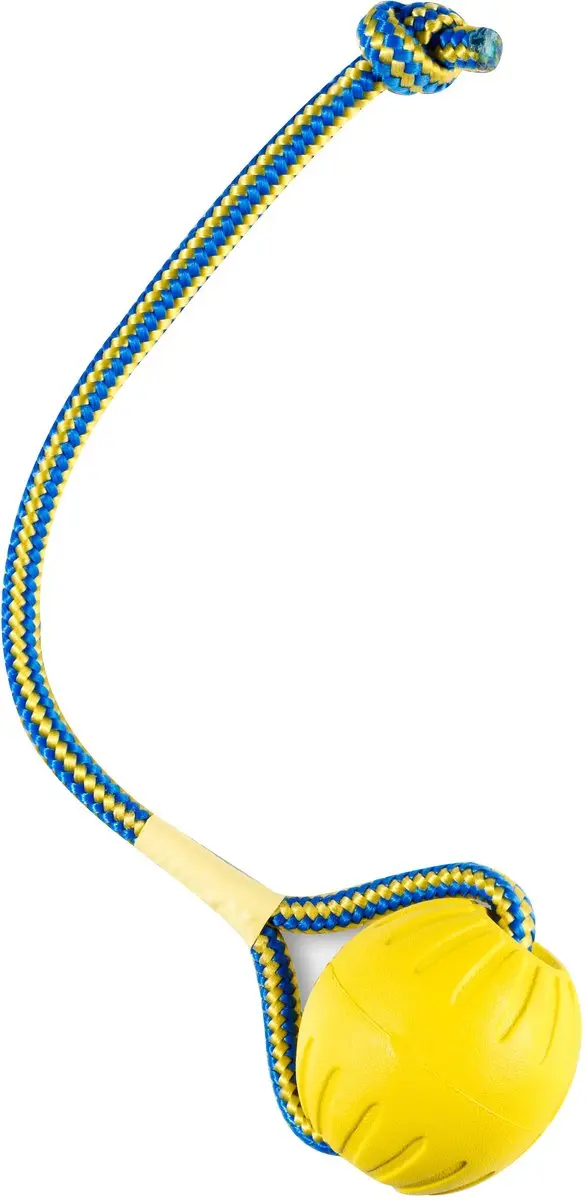 Starmark Swing 'N Fling Durafoam Fetch Bal Aan Koord