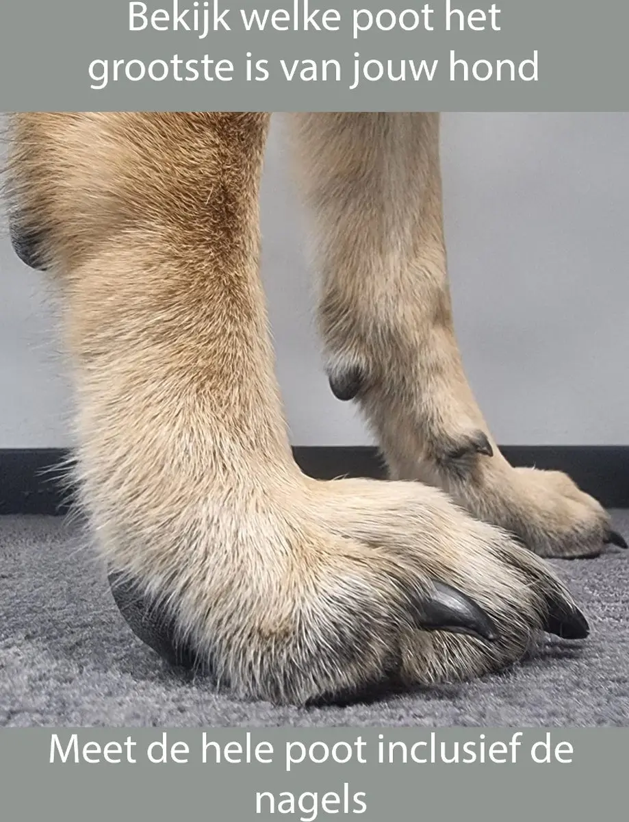 Pawz Rubber Hondenschoenen - XL - Zwart - 12 stuks - afbeelding 6 van 6