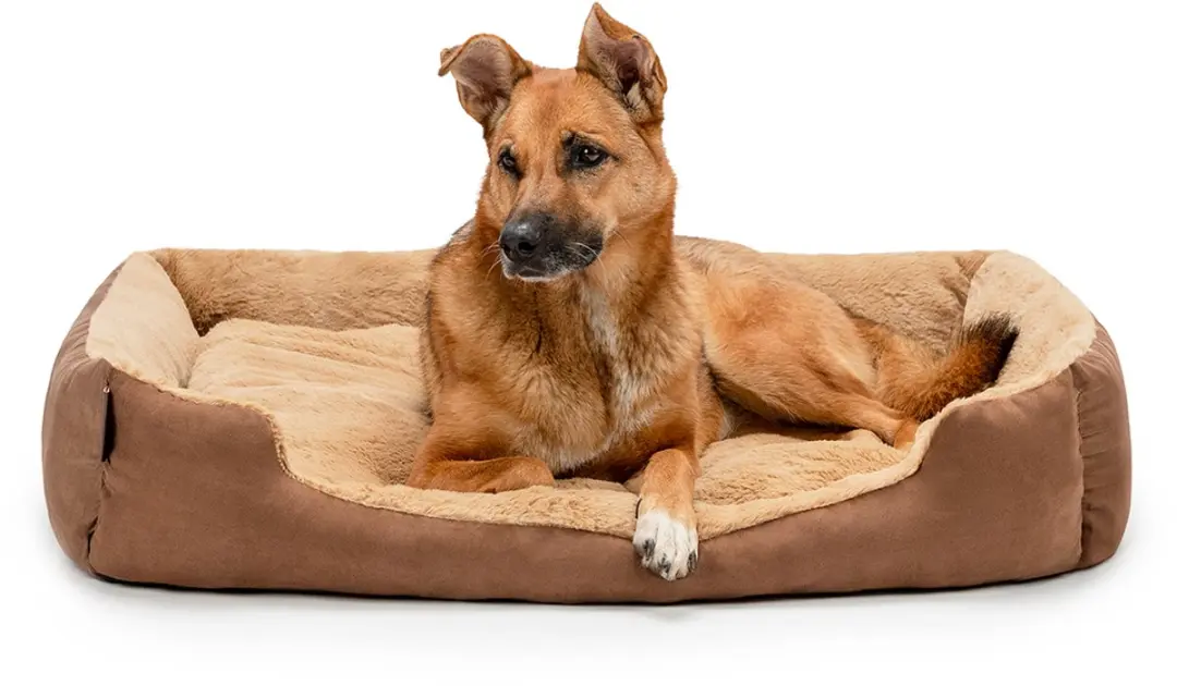 lionto zacht Hondenbed, omkeerbaar kussen & antislip bodem 90x70 cm bruin/beige