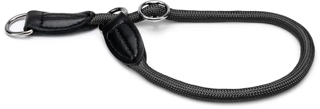 lionto Hondenhalsband, nylon slipband met stopring Ø 0,8 cm zwart 35 cm