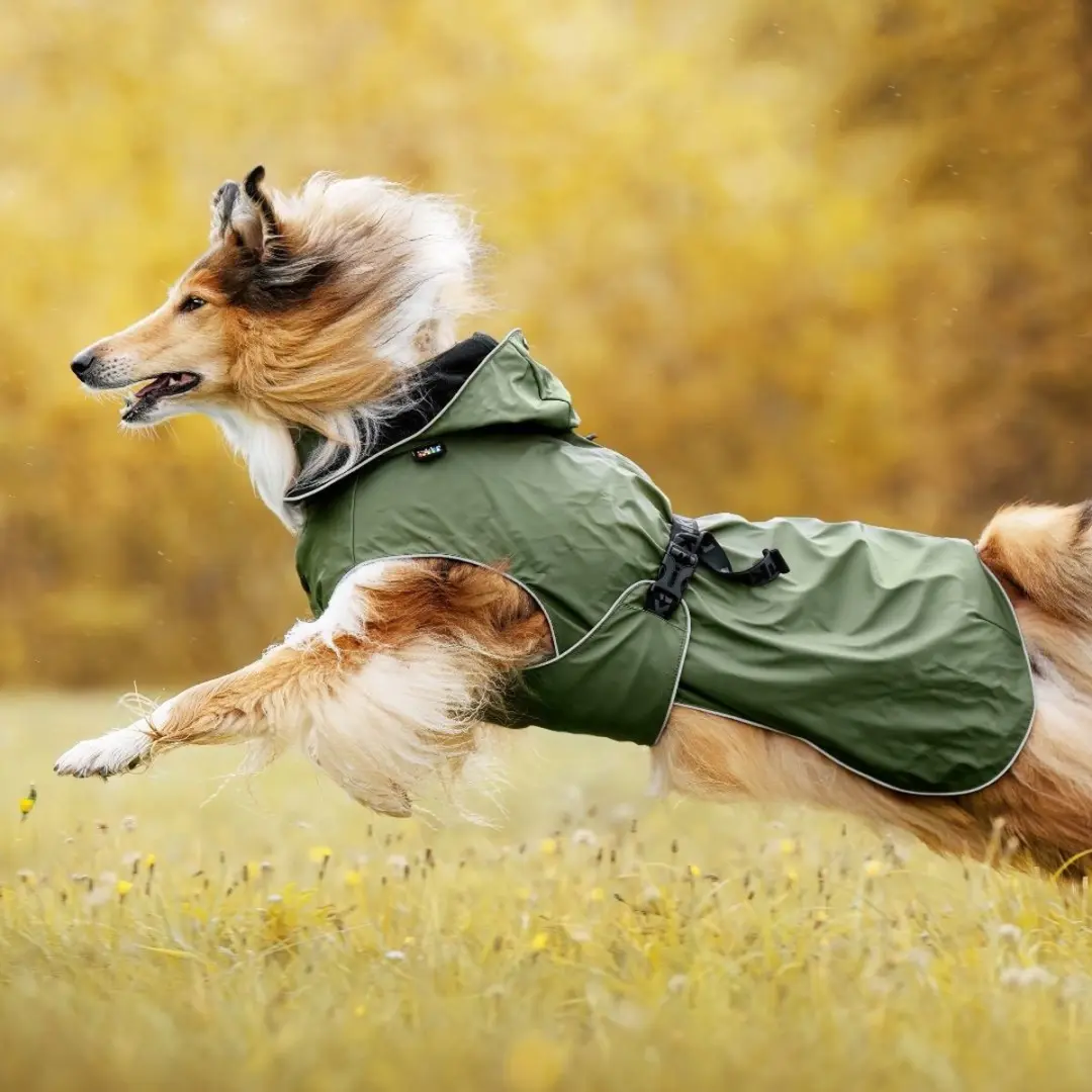 Rukka Pets Streamy ECO Hondenregenjas - Olijfgroen - afbeelding 4 van 6