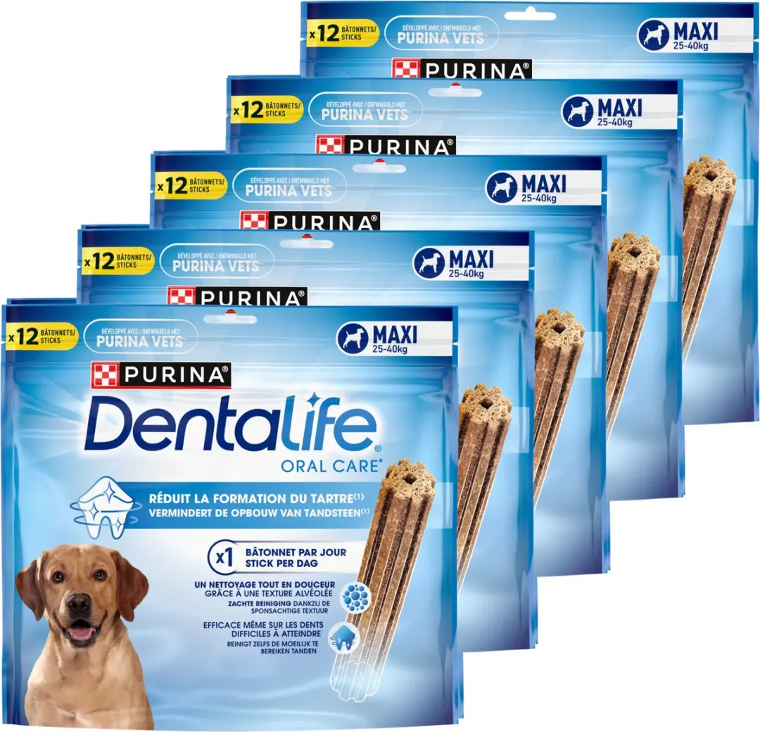 Dentalife Daily Oral Care Large