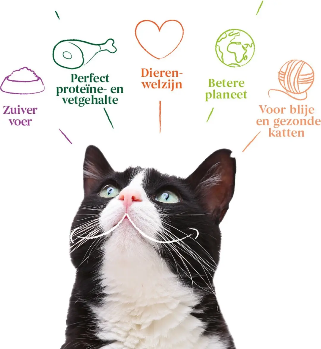 Yarrah Bio Kattenvoer Sterilised 2kg - 4x - afbeelding 5 van 6