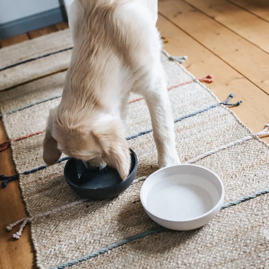 District 70 Bamboo Voerbak voor honden - Ø14cm - 570ml - afbeelding 5 van 6
