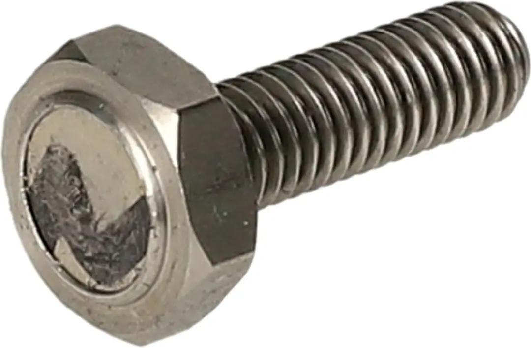 Remschijfbout magneet Koso M6x1.0 Lengte 19,7mm