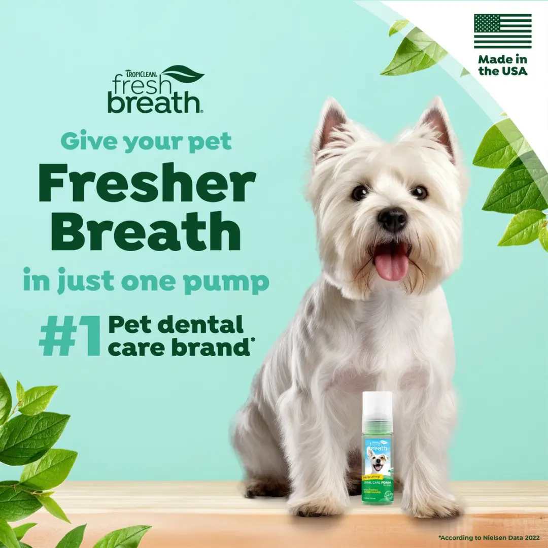 TropiClean Fresh Breath Tandpasta Schuim Honden - afbeelding 2 van 6