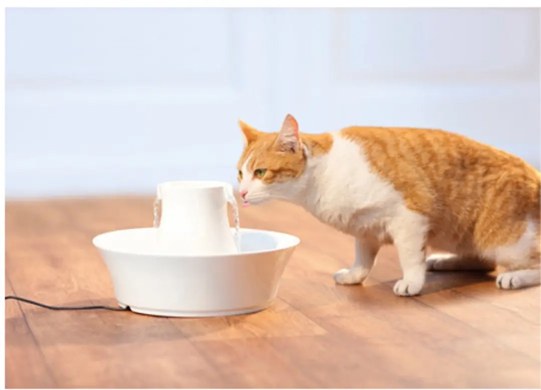 PetSafe Actiefkoolfilter - 4 stuks - afbeelding 2 van 6