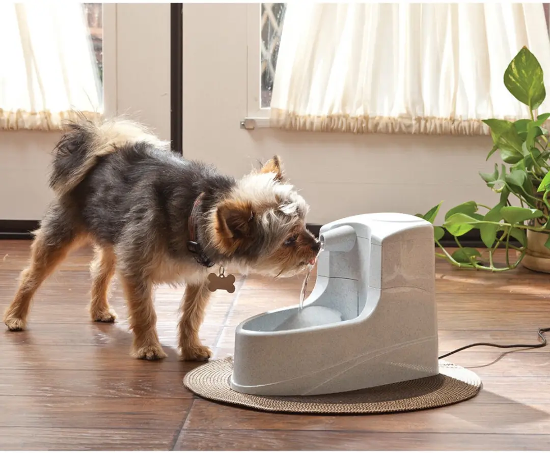 Petsafe Drinkwell Mini - Drinkfontein - 1,2 L - afbeelding 4 van 6