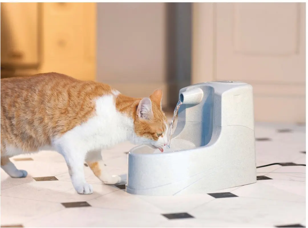 Petsafe Drinkwell Mini - Drinkfontein - 1,2 L - afbeelding 3 van 6