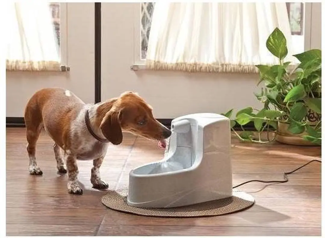 Petsafe Drinkwell Mini - Drinkfontein - 1,2 L - afbeelding 6 van 6