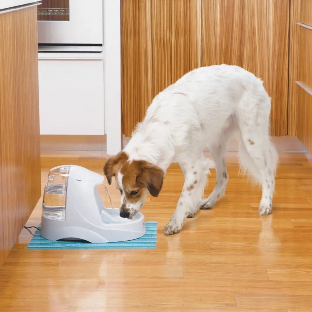 PetSafe Drinkwell Platinum Drinkfontein - 5L + 3 Filters - afbeelding 5 van 6